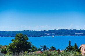 Blue Story Apartments