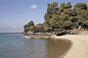 Alterra Vita Apartments