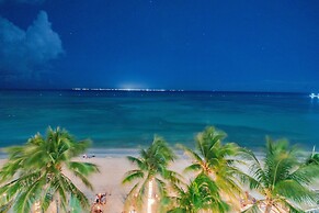 Faro Reef 401 by NAS