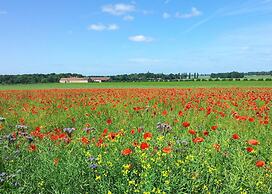 Ferme D'Orsonville