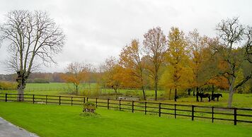 Ferme D'Orsonville