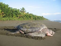 Casa Grande Ecolodge at Pacuare Reserve