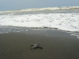 Casa Grande Ecolodge at Pacuare Reserve
