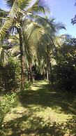 Casa Grande Ecolodge at Pacuare Reserve