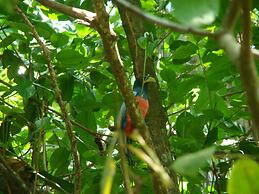 Casa Grande Ecolodge at Pacuare Reserve