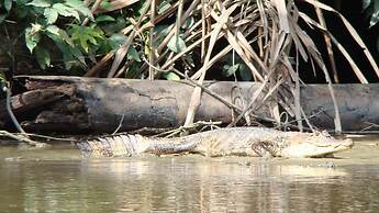 Casa Grande Ecolodge at Pacuare Reserve