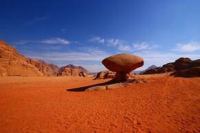 Black Irish Camp and Tours