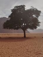 Black Irish Camp and Tours