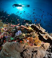 Dragon Dive Komodo Dive Resort