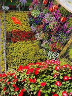 Khamy Riverside Resort