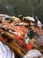 Khamy Riverside Resort