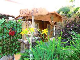 Casas Maravilha Calheta