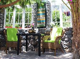 Casas Maravilha Calheta