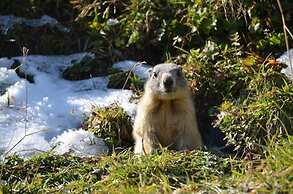 Gasthof Pension Hochjochstöbli