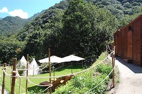 Nature inn Madeira - Glamping