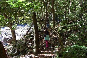 Nature inn Madeira - Glamping