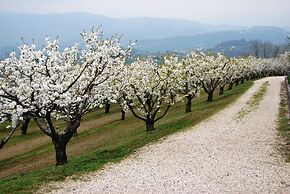 Tenuta Fortelongo