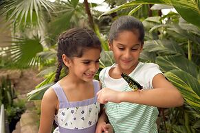 Holiday Inn Express Niagara-On-The-Lake by IHG