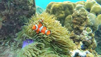 Charming Lipe Beach Resort