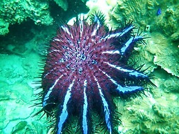 Charming Lipe Beach Resort