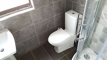 Modern Central House