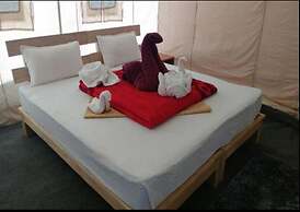 Pangong Heritage Camp