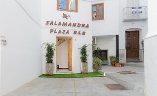 Salamandra Plaza B&B