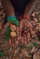 Mount Edgecombe Boutique Hotel