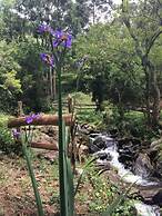 Casa Campo Rústica Férias Fazenda Usina