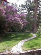 Gold Mountain Manor Bed and Breakfast