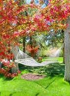 Gold Mountain Manor Bed and Breakfast