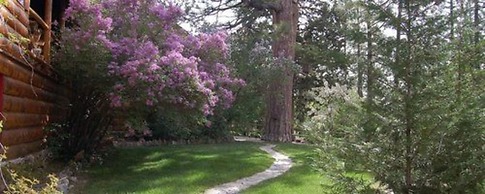 Gold Mountain Manor Bed and Breakfast