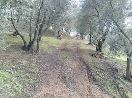 Agriturismo Campofiorito