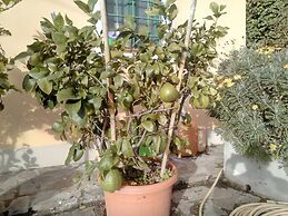 Agriturismo Campofiorito