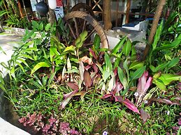 Dream House Guest House & Restaurant