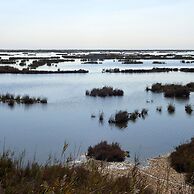 Apartamentos OnceMolinos