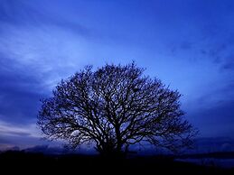 Agriturismo Fontelupo