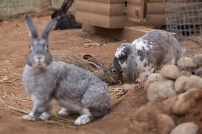 Shishki na Lampushke - Casa de Campo