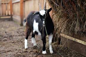 Shishki na Lampushke - Casa de Campo