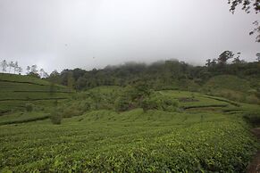 Grand Plaza Munnar