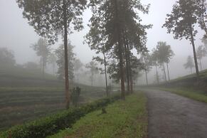 Grand Plaza Munnar