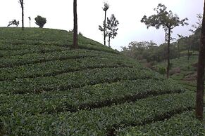 Grand Plaza Munnar
