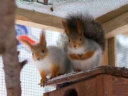 Shishki na Lampushke - Bavarsky Khutor