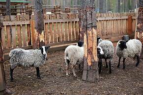 Shishki na Lampushke - Vostochnaya Medina