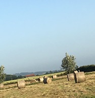 Paardenhof Guesthouse