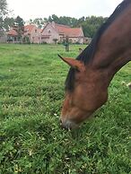 Paardenhof Guesthouse