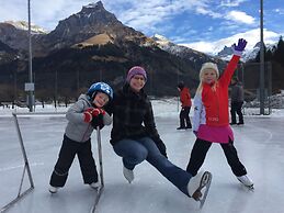 Hotel Crystal Engelberg