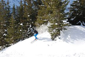 Hotel Crystal Engelberg