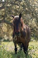 Monte Gois Country House e Spa