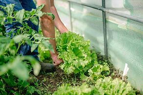 Monte Gois Country House e Spa